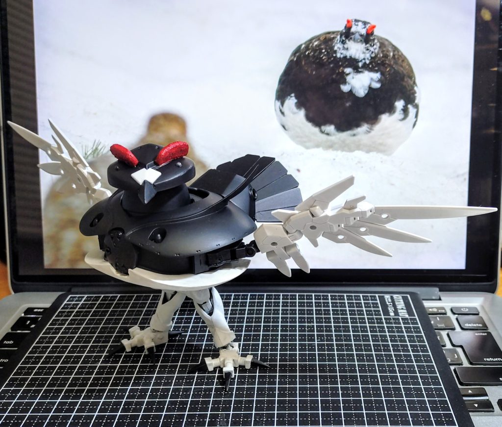 後ろのが本物のライチョウ。