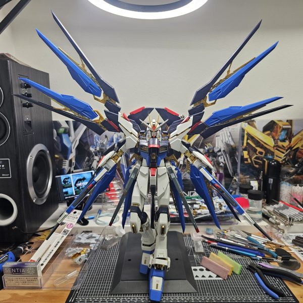 PGストライクフリーダム