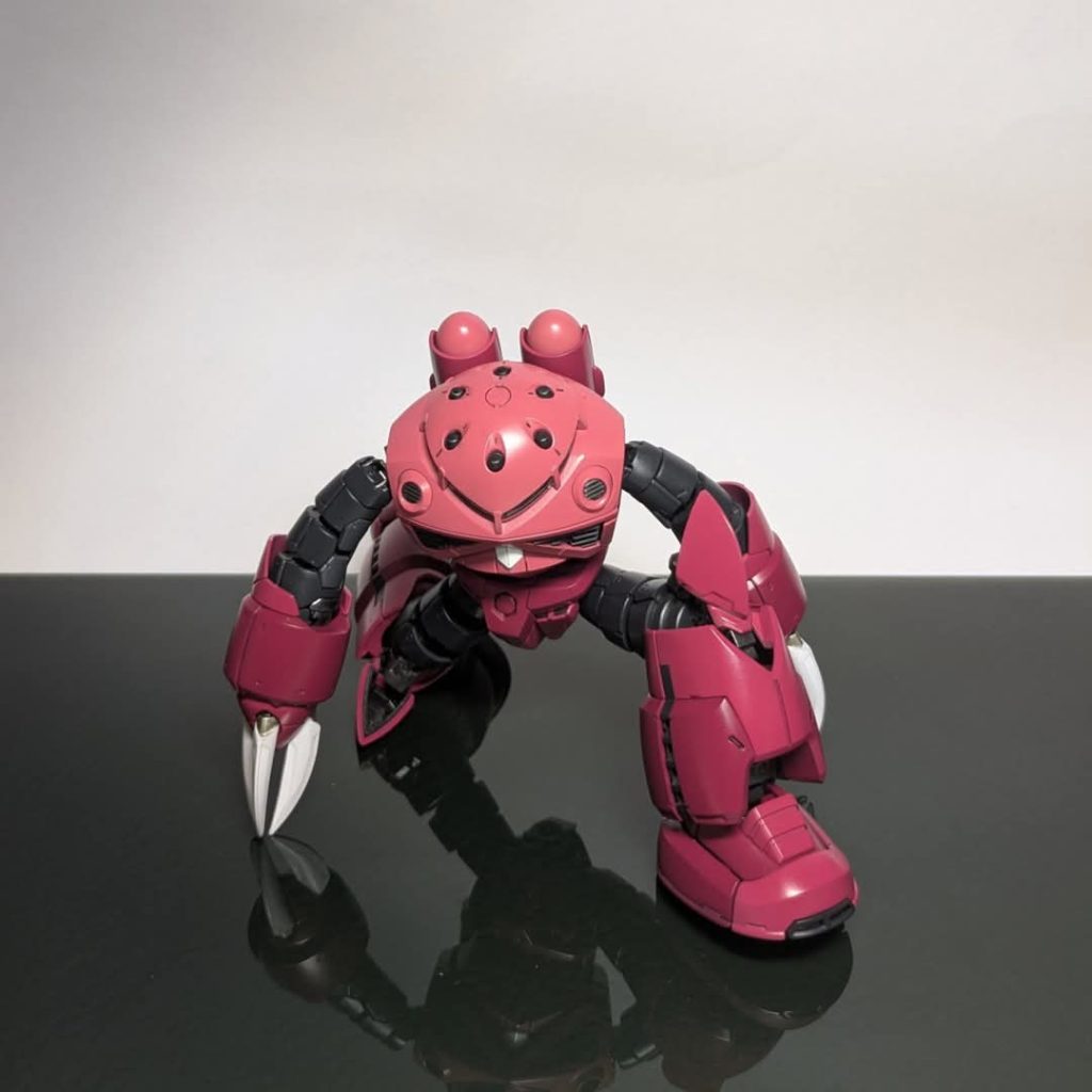 BANDAI 1/144スケールモデルRG MSM-07S Z'GOK–5枚目/制作者：wind1971