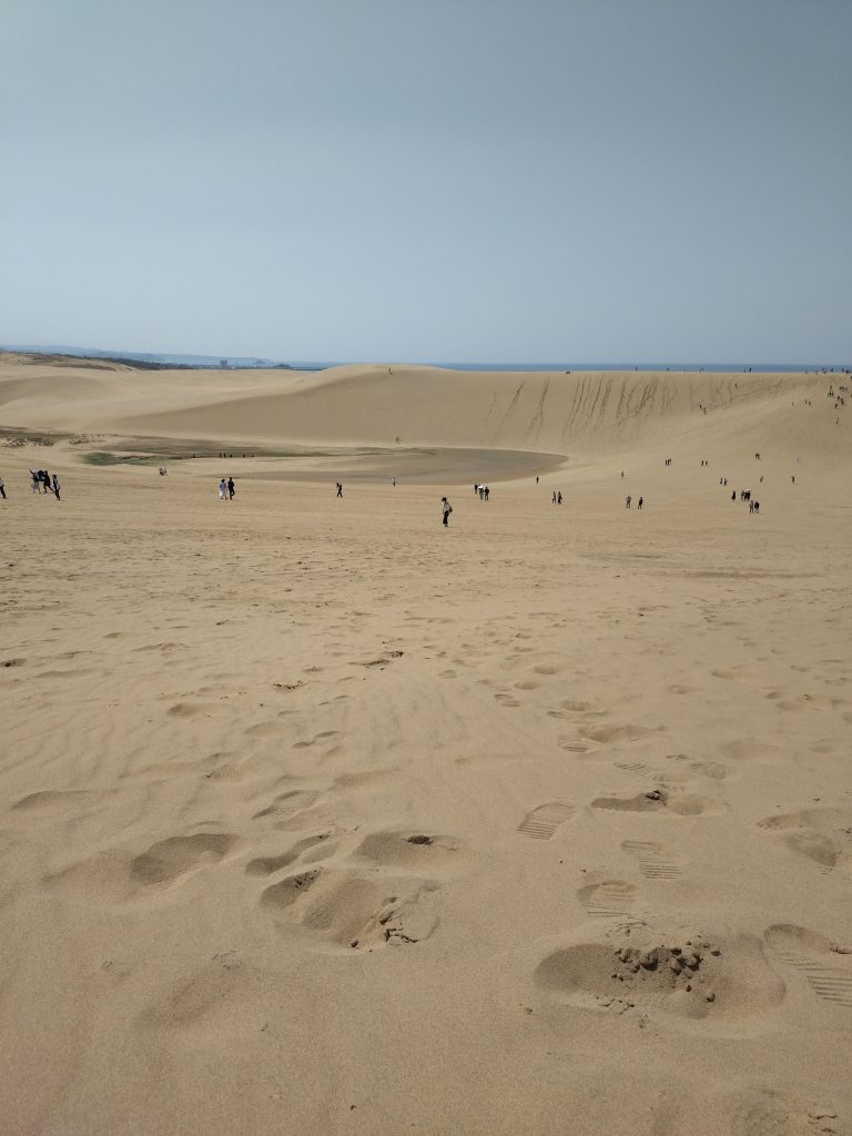 一応砂丘全体の写真。平日なのに人が多くて、おどろきました。