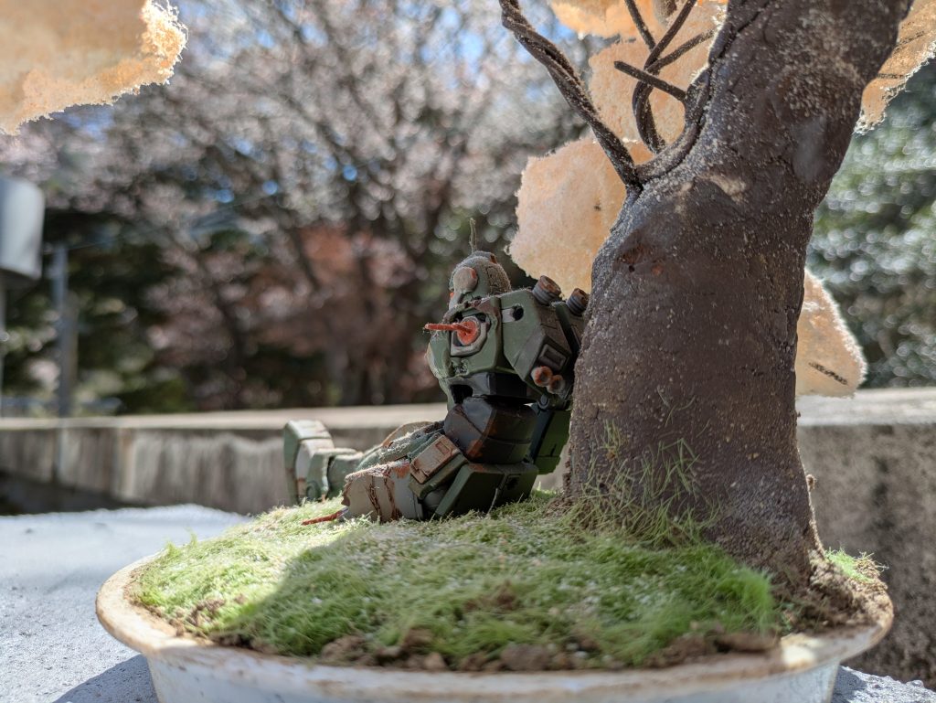 いい天気でしたので家の屋上で撮影しました。