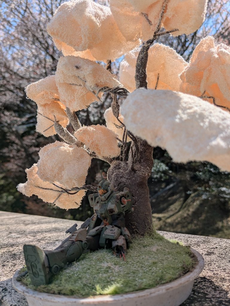 裏に生えている本物の桜の木を背景に1枚。 