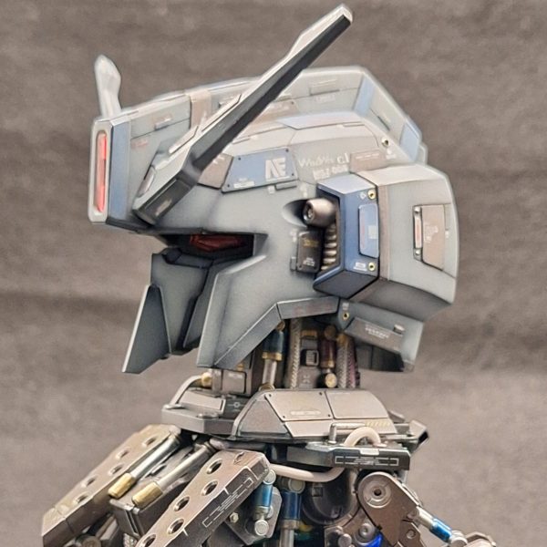 なんちゃってRG”Zプラスヘッド”