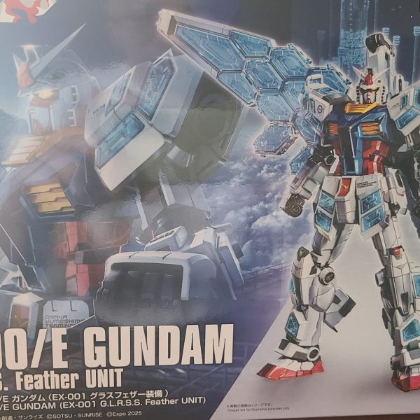 ディストピアを感じさせるゲーミングおっちゃん