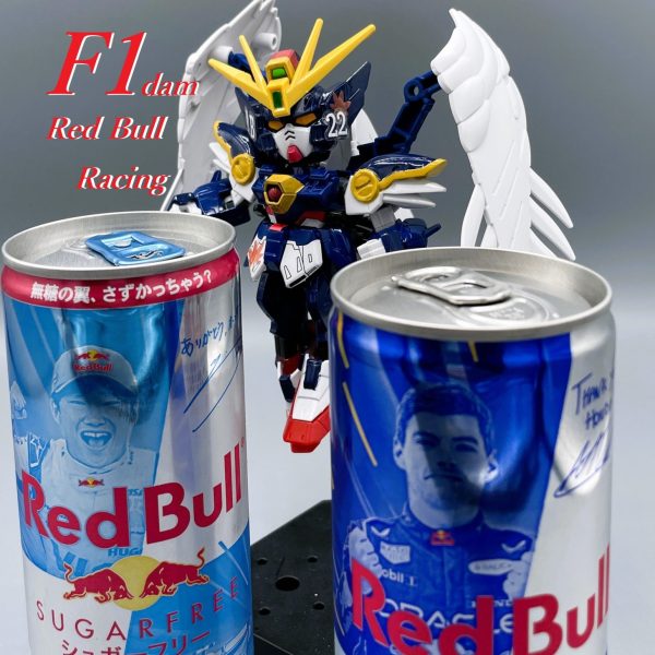 　　　【レッドブルの翼を授かる】