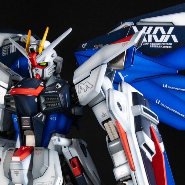 1/100フリーダム