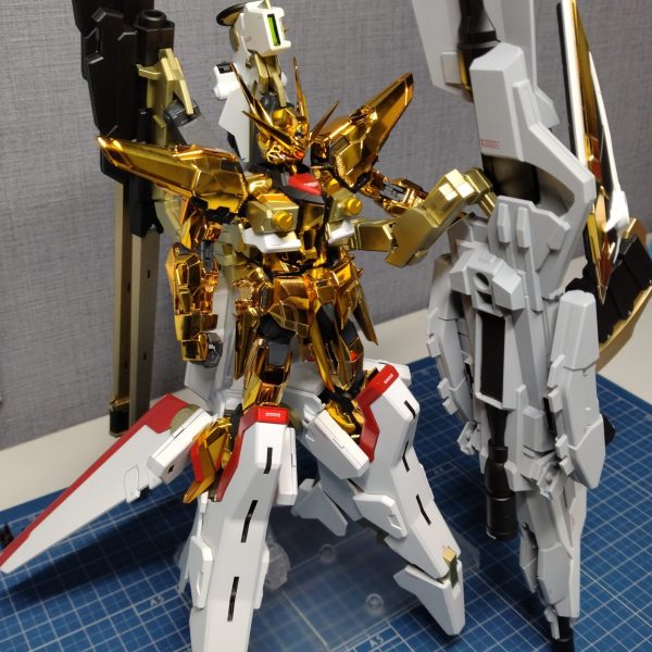 RGアカツキ&HGゼウスシルエット