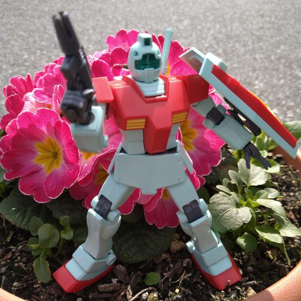 今日は4月6日（ジム）の日です。