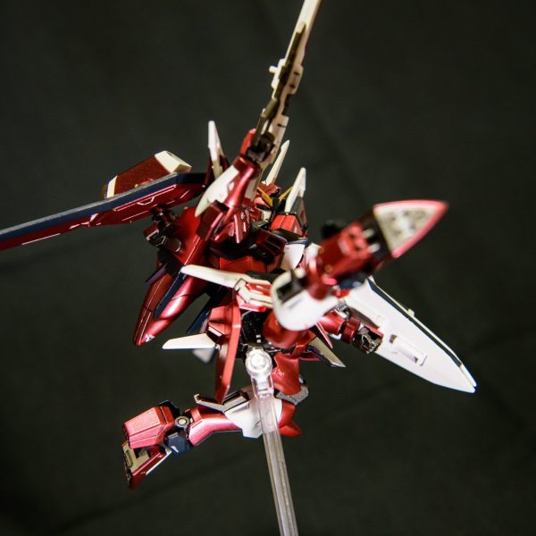 イモータルジャスティス（メタロボ魂風）