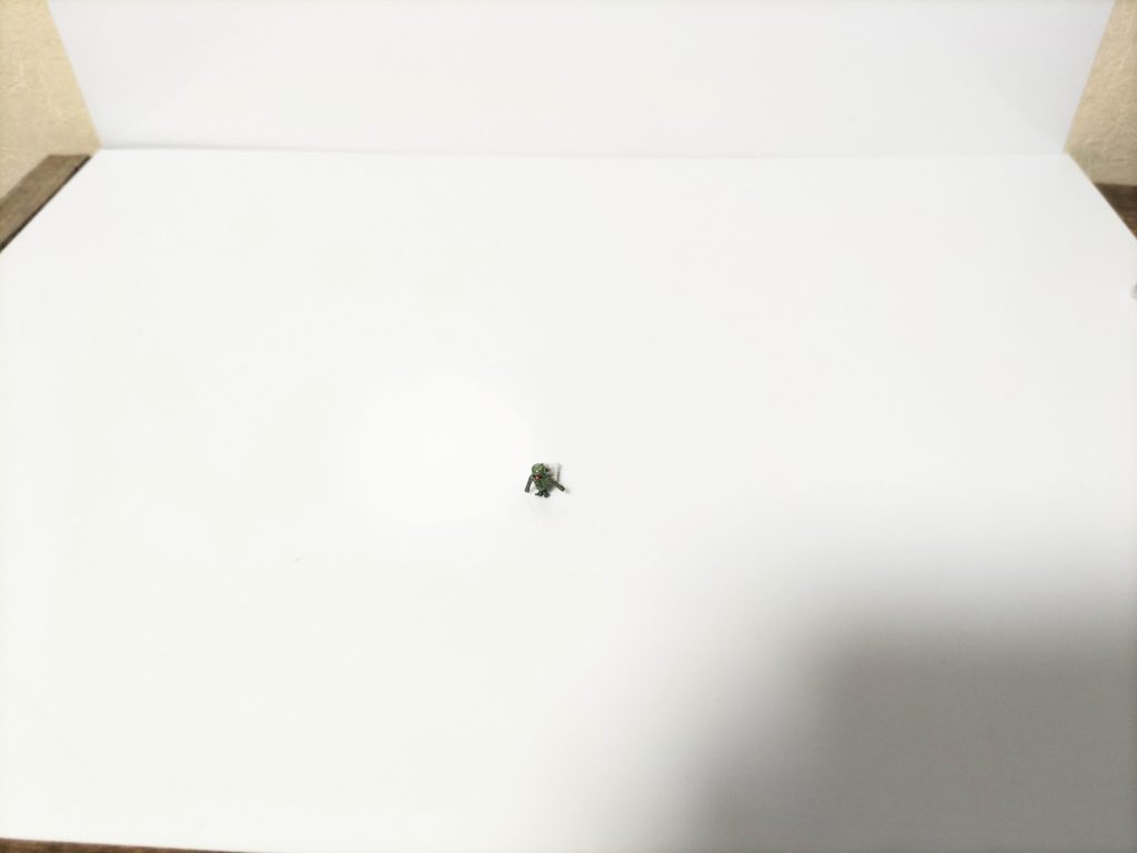 拡大しないで撮影するとこんな感じ