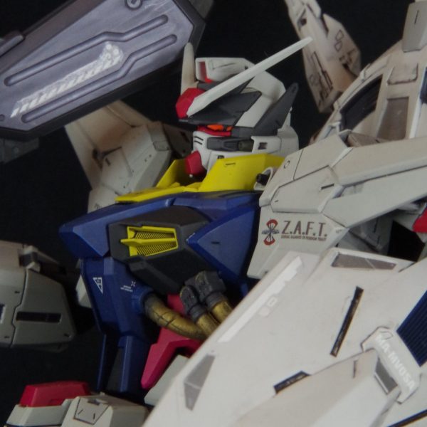 MG ZGMF-X13A プロヴィデンス