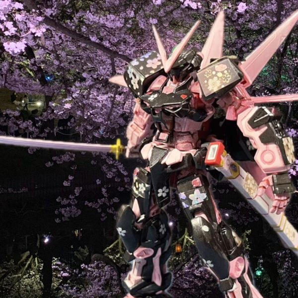 夜桜アストレイ