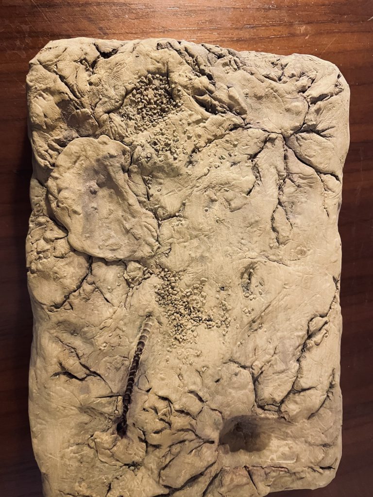 ジオラマ全景です。サンディウォッシュで全体を整えています。