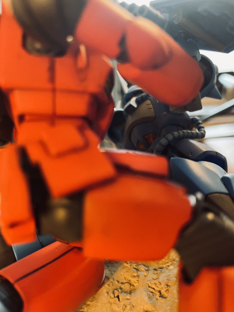 近いアングルから。