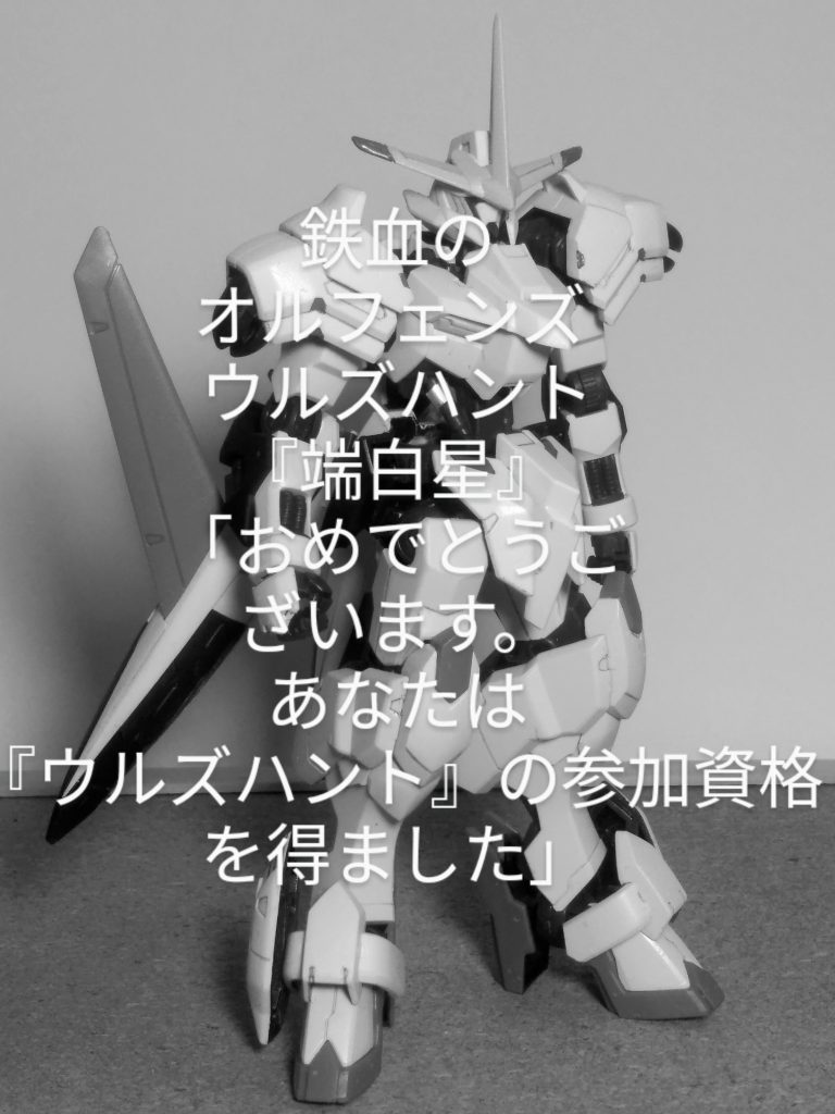 Next time preview                              『HAJIROBOSI ❓』                            お目汚し ありがとうございました。