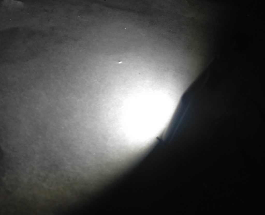 今回活躍したダイソーのライト。かなり明るいです。ご覧いただきありがとうございました。