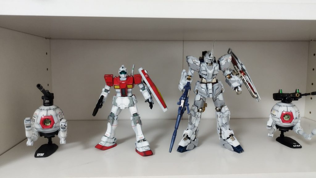 ジムの陳列箇所ははここに決定で!!