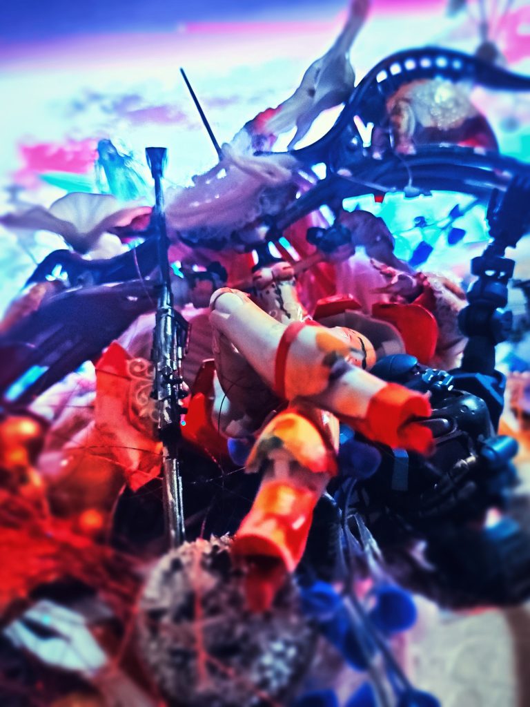 ジークアクスさんが、手に入らないんで、ストレリチアさん方向から行ってみました。知らない人は、ふ~んて感じでしょうが、知ってる人には、怒られそう😭