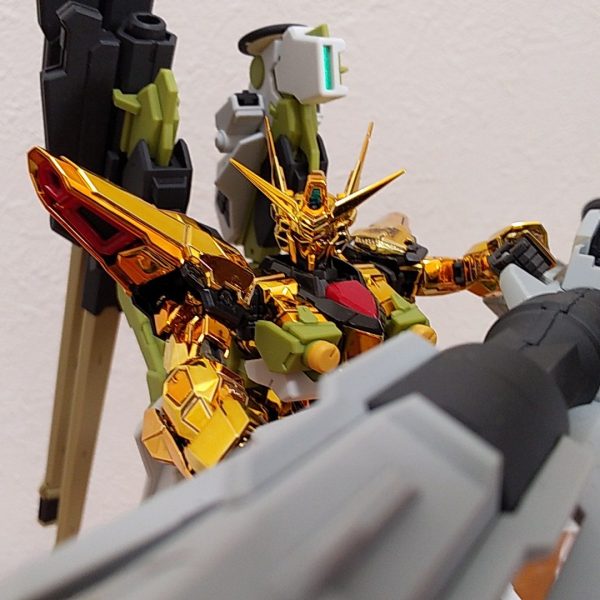 RGアカツキガンダム&HGゼウスシルエット