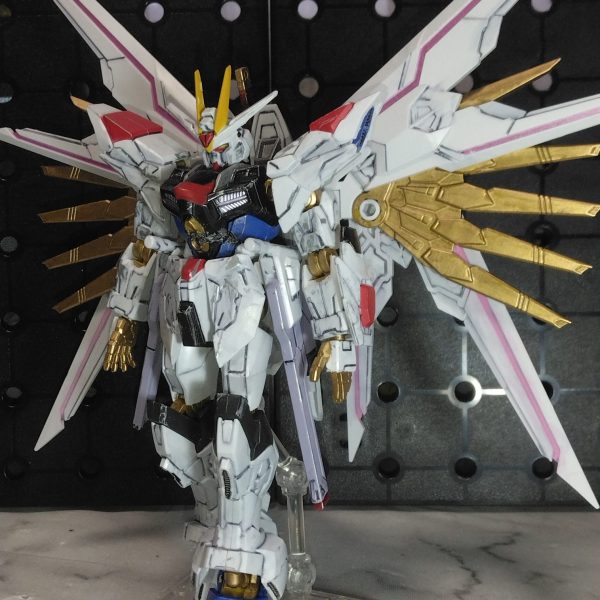 マイティーストライクフリーダム　ダメージ加工