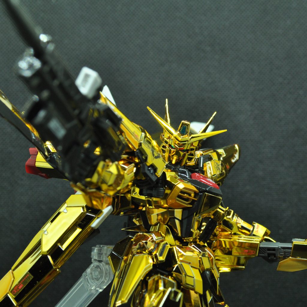 RG　アカツキガンダム（オオワシ装備）