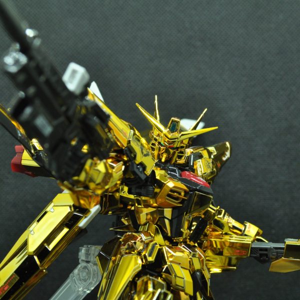 RG　アカツキガンダム（オオワシ装備）