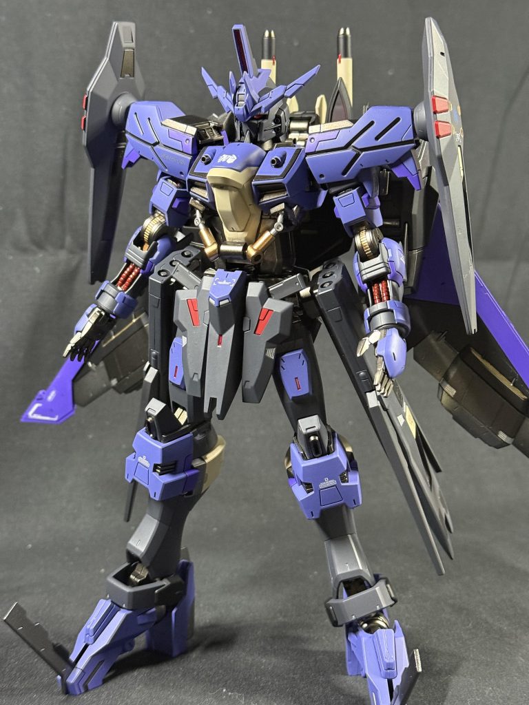 ガンダムヴィダール C.Ever–2枚目/制作者：NTD