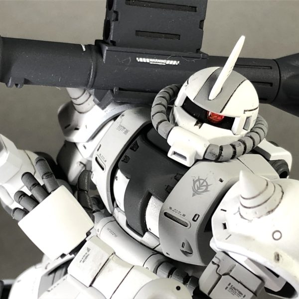 HG ザクII TYPE C-6/R6 [ペインティングモデル]