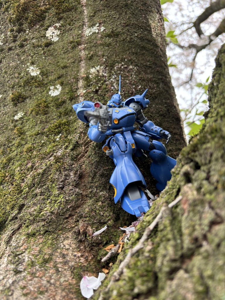 最後に桜の大樹にて補給する