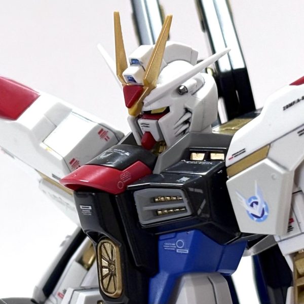 ZGMF-X20A ストライクフリーダム