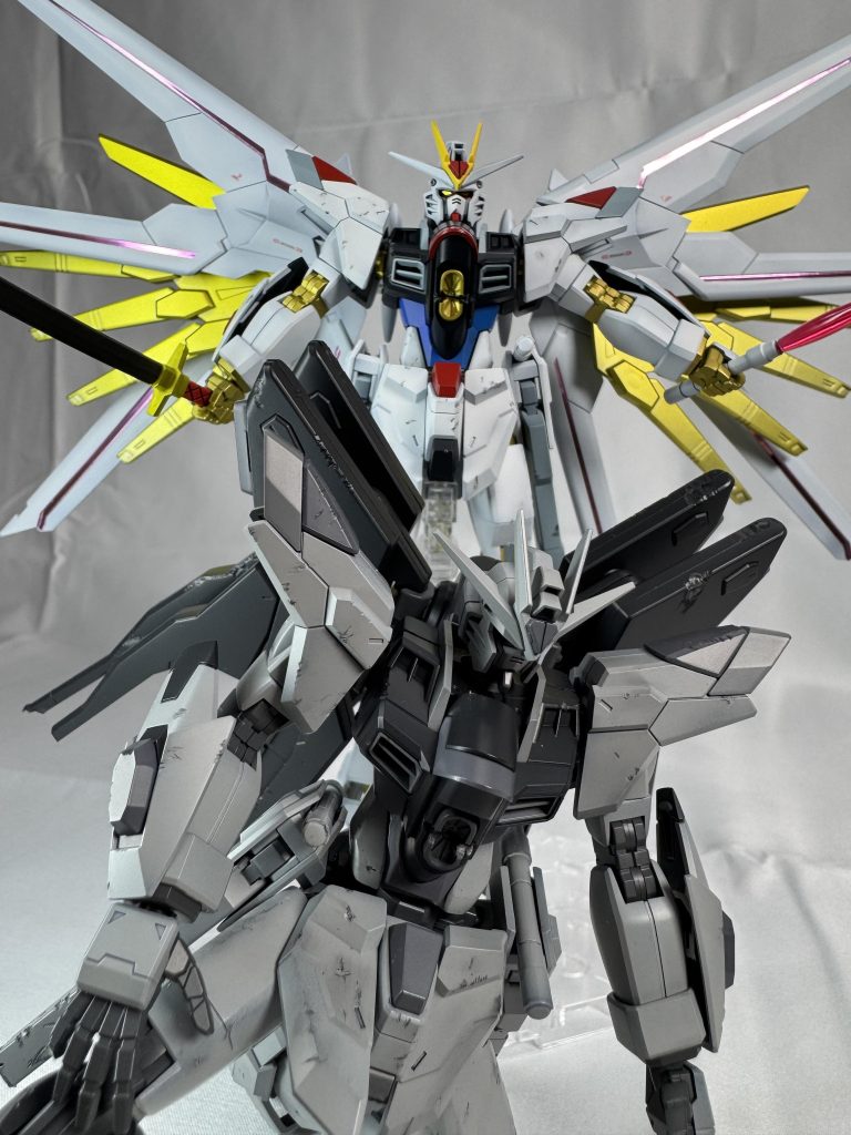 コレがしたかった