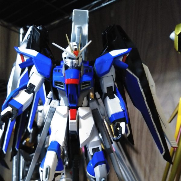 ライジングフリーダム