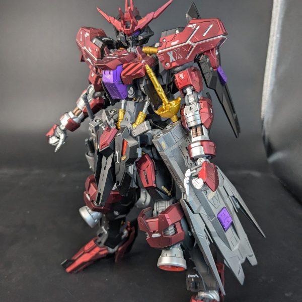 MGガンダムヴィダール