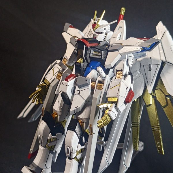 RGストライクフリーダム弐式＋マイティーストライクフリーダム