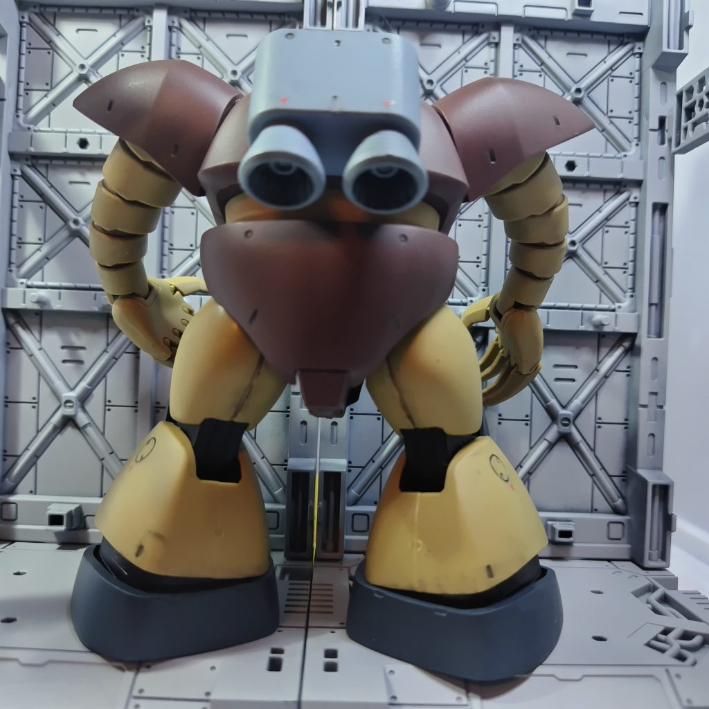 右足のあわせ目が白化してますね