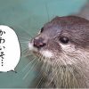 俺ちゃん