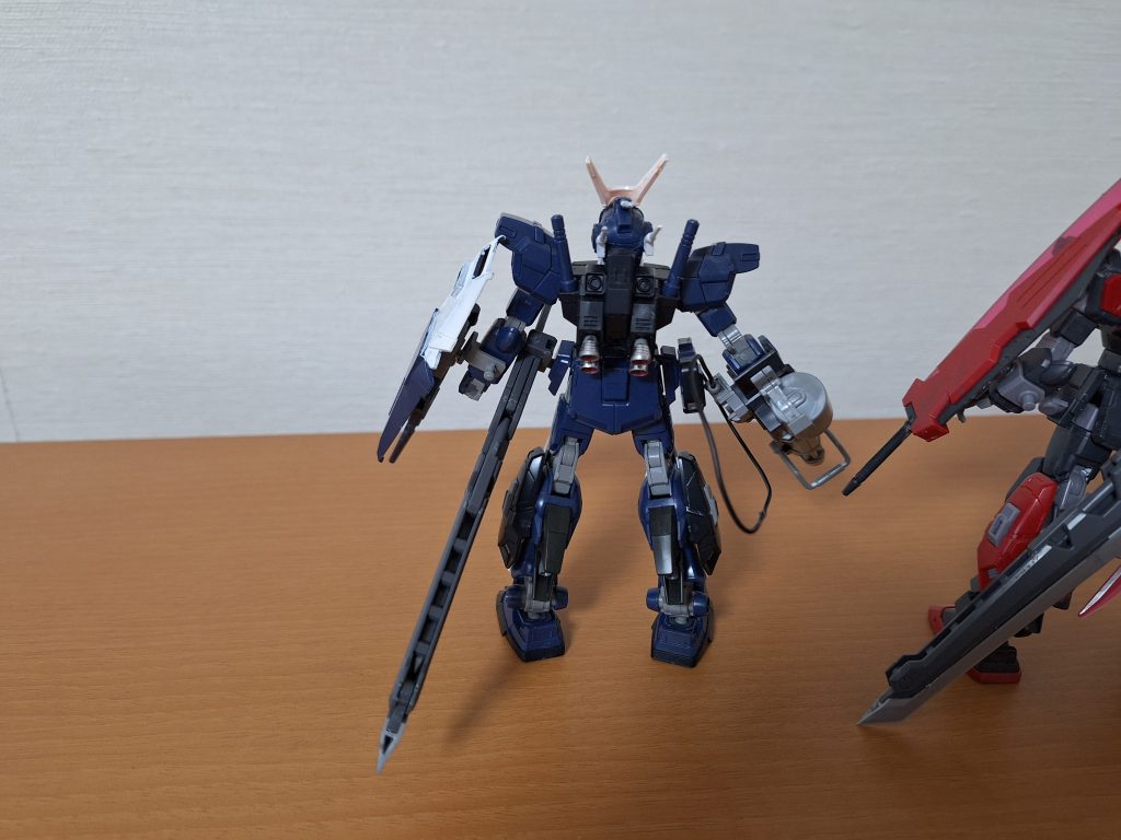 先の投稿でも述べたとおり、ペイルライダーDⅡを使用しています。