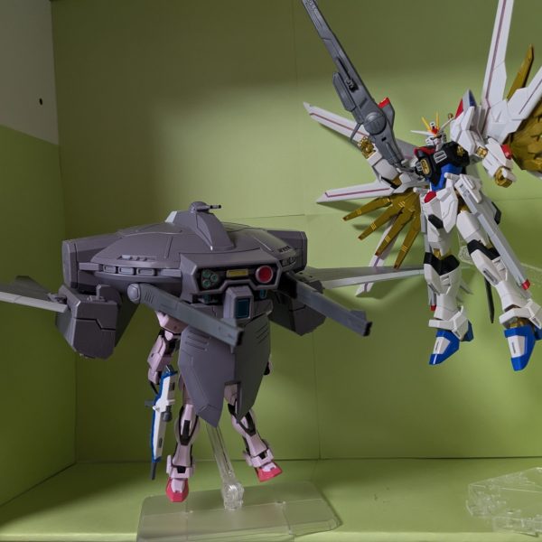 今日キラとカガリの誕生日なんで