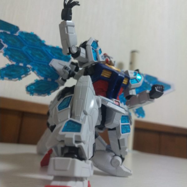 活動再開について