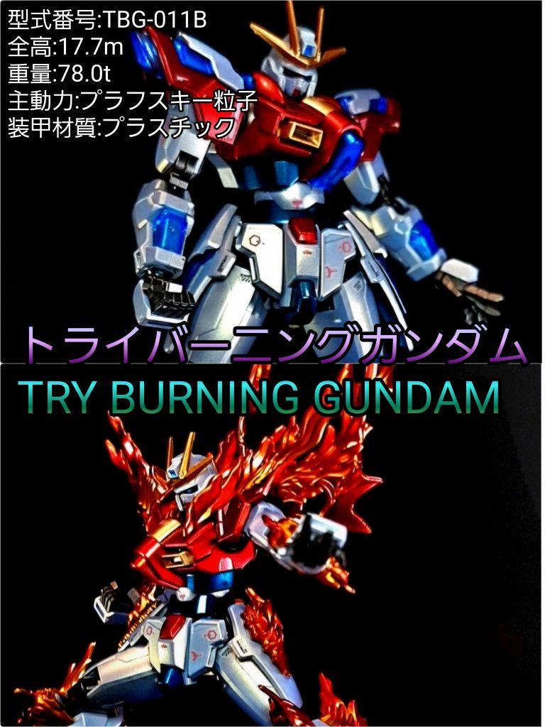 HG トライバーニング