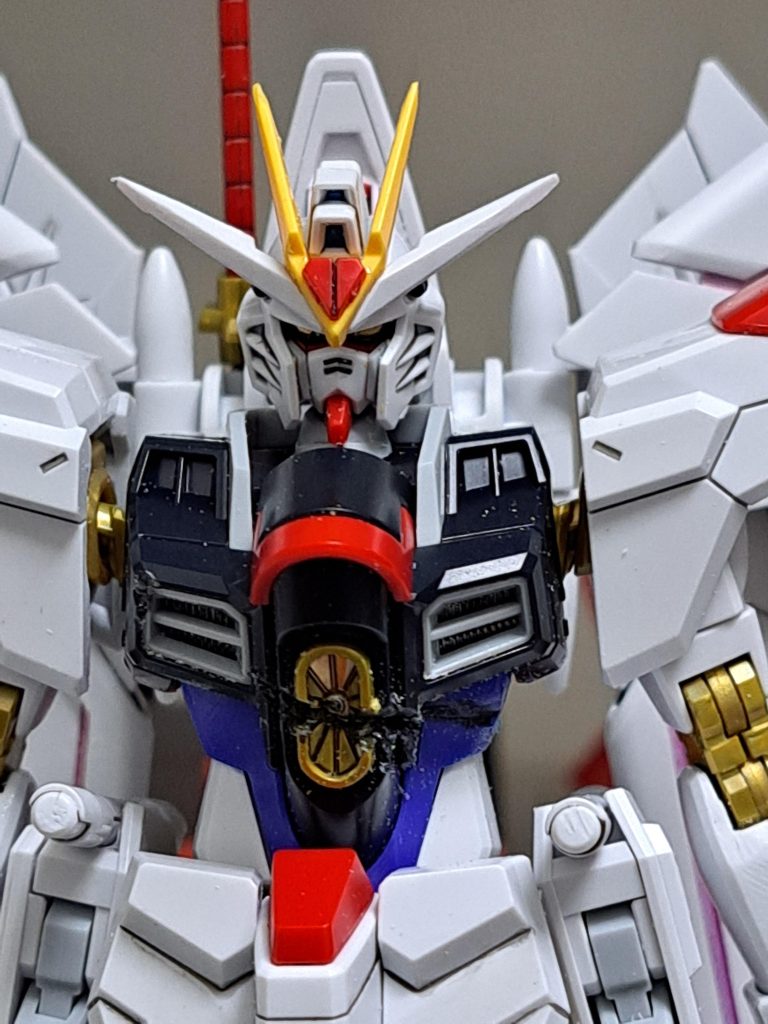 正面アップお目汚しでした