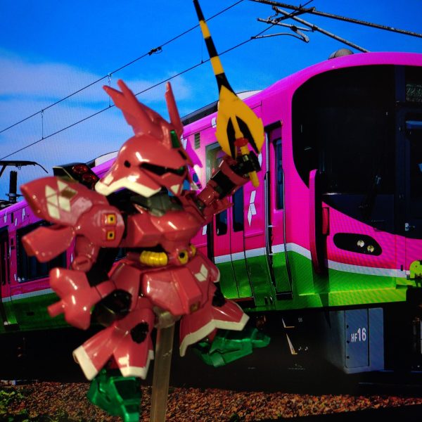 ハピラインふくいフルラッピング仕様