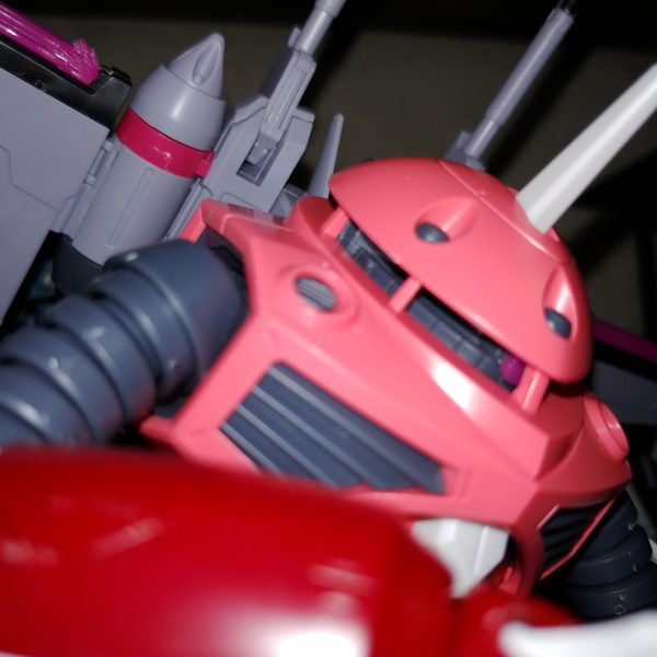 簡単素組みでも楽しいアスランのズゴック