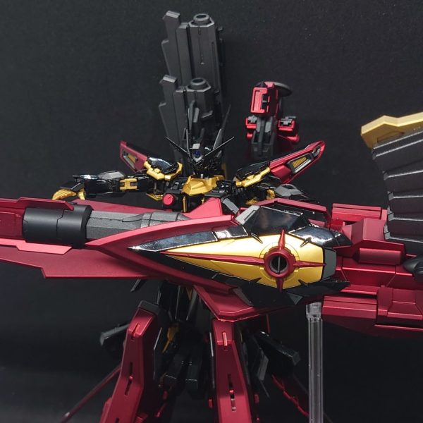 RG アカツキ・黒鷲