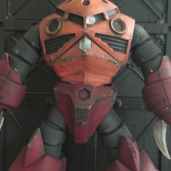 HG シャア専用ズゴック