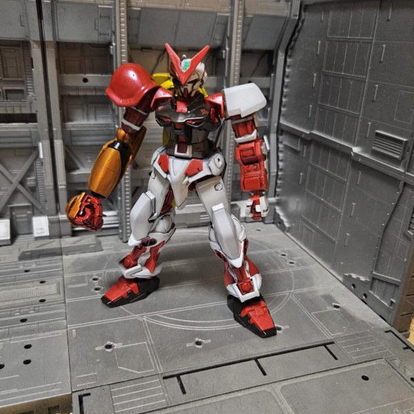 シェルブリットフレーム