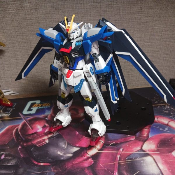 ストライクデスティニーフリーダムガンダムライジング装備