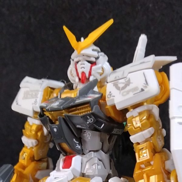 ゴールドフレーム