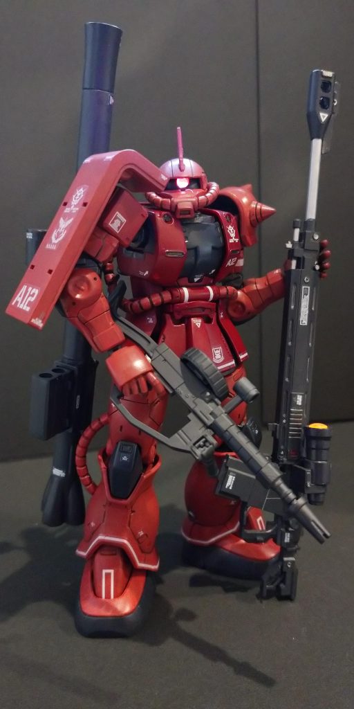 (ほぼ)フル装備で📷️熊捜索に山狩りにでもいくような出で立ちですね🤣