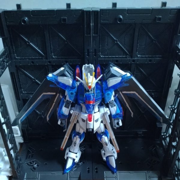 SEEDFREEDOM系初組！